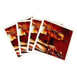 LS01 ADVANCED NYLON VIOLIN STRING