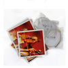 LS01 ADVANCED NYLON VIOLIN STRING