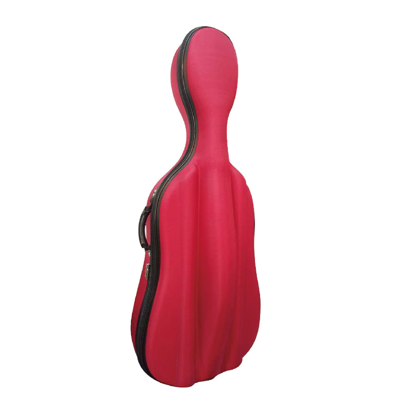 CLS69 A EVA CELLO CASE
