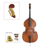 Sprue Solid Top, Maple Flamed Solid Back & Side, Solid Double Bass (LB073)