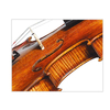 Fully Handmade by Master Wu′s Select Apprentices, Hand Brushed Spirit Finish, Beautiful Sound Violin (LV625)