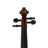  Fully Flame One-Piece Back Handcarved and Hand Varnish European Tone Wood Violin LV420