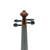 European Material Natuer Dried Tonewood; CNC Machine Craved and Spay Varnish Violin (LV610)