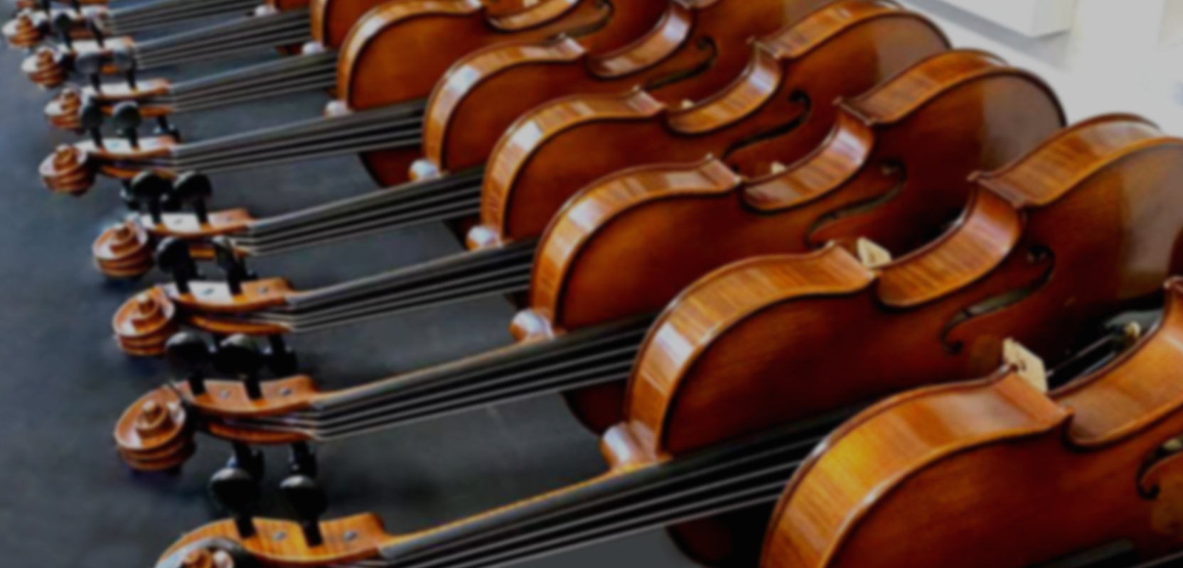 banner-2