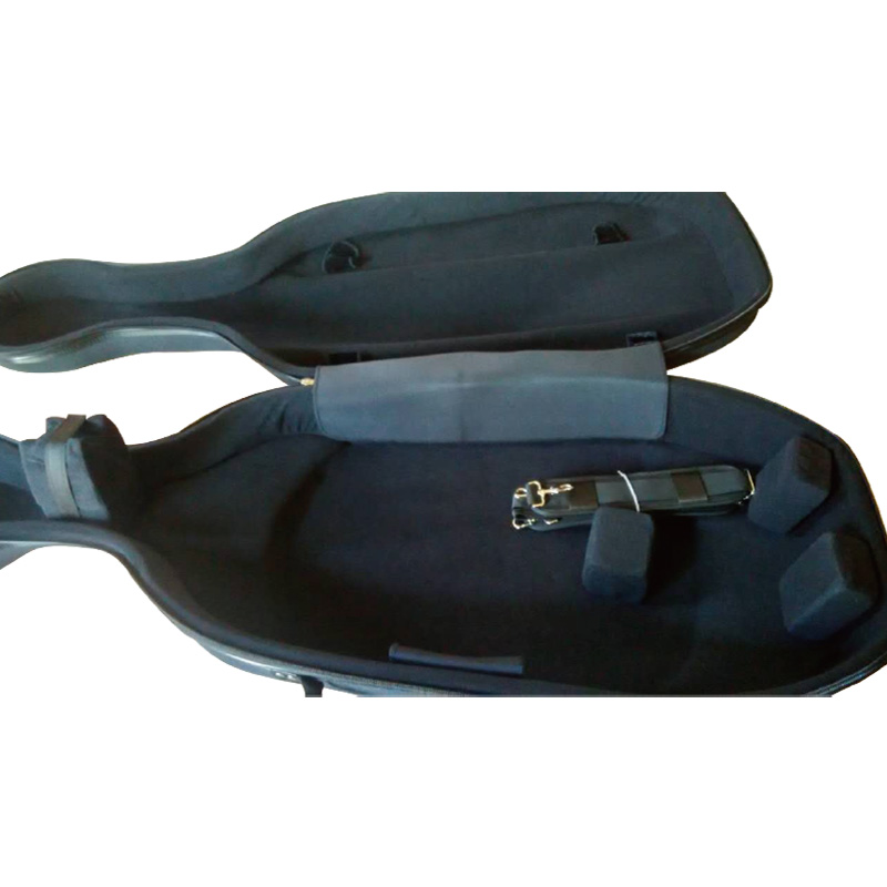 CLS69 EVA CELLO CASE