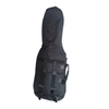 Cello Bag CB66