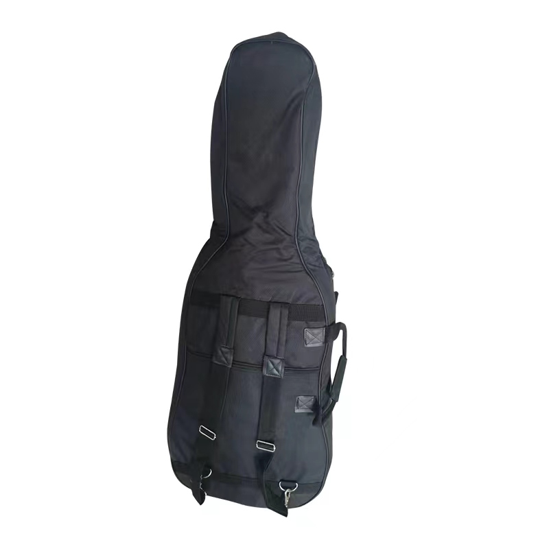Cello Bag CB66