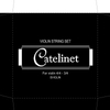 Violin Steel String Set