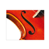High Level Antique,Top Grade Chinese Wood,Fully Handmade By Master Wu's Top Apprentices,Hand Brushed Spirit Finish,Wonderful Sound (LV623A)