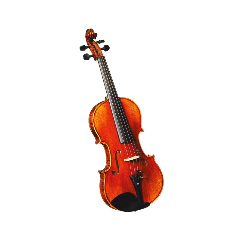 Oil-varnished European Flamed Tone Wood Violin Hand-craved by Master Luthier Perfessional (LV620EU)