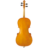 Carved Spruce Solid Top, Maple Solid Back & Side Boxwood Accesssories Cello (L014)