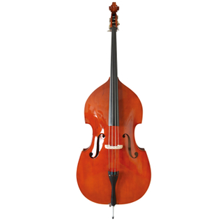 Sprue Solid Top, Maple Flamed Solid Back & Side, Solid Top Double Bass (LB072)
