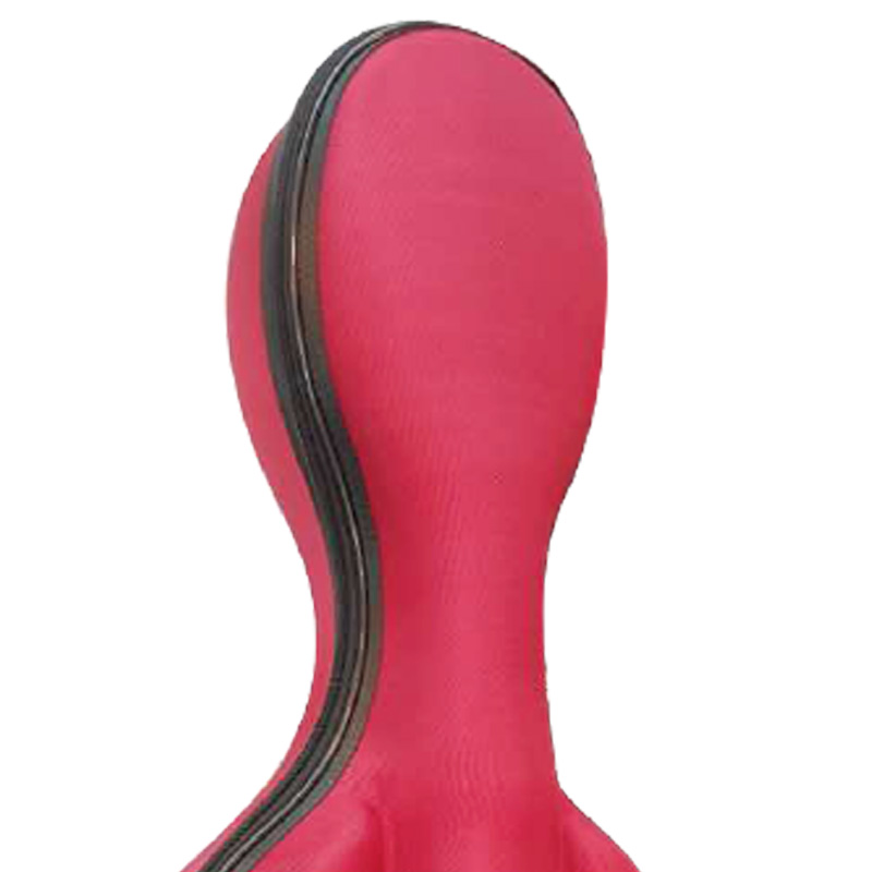 CLS69 A EVA CELLO CASE