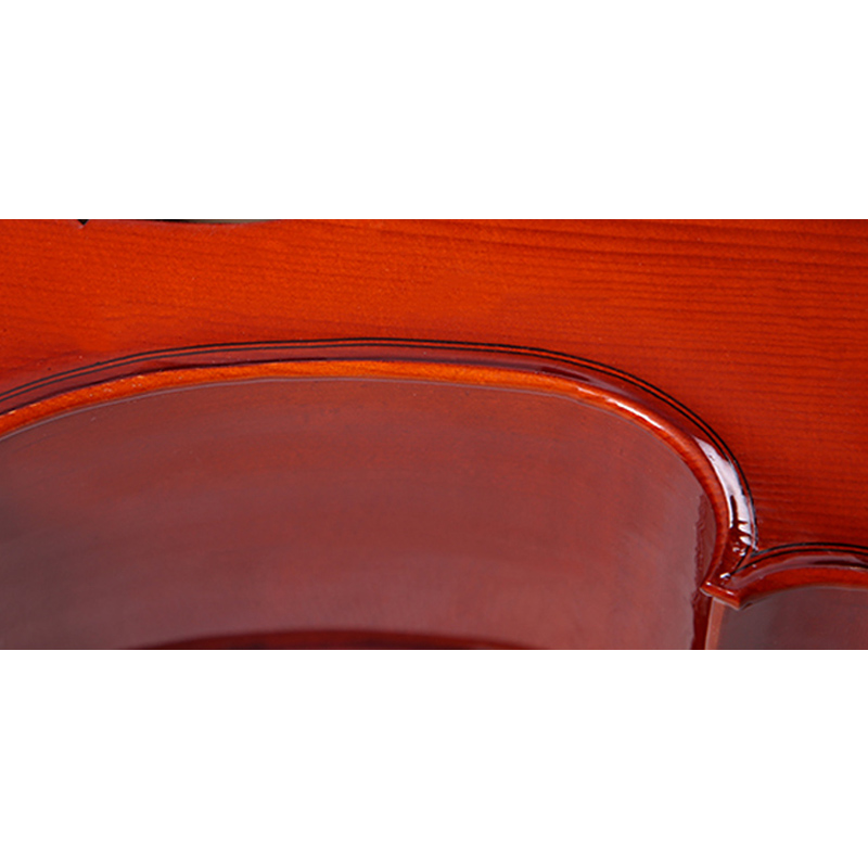 Laminated Top & Back, Ebony Fingerboard, Maple Black-Dyed Pegs Cello (LC010)