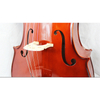 Carved Spruce Solid Top, Maple Solid Back & Side Solid Cello (LC013)