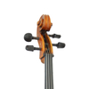 Select, Carved Spruce Top; Highly Flamed Maple Back and Sides; Hand Crafted Cello (LC30)