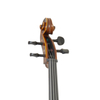 Solid Cello Is Polished with Natural Dried Spruce Panels and Maple Solid Back Panels (LC016A)