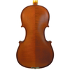 European Material Natuer Dried Tonewood; CNC Machine Craved and Spay Varnish Violin (LV610)