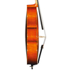 Excellent European Tone Wood; Fully Handmade by Master Wu’ S Top Apprentices; Cello (LC40)