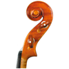 European Materials Highly Flamed Maple Back,AA Grade Spruce Violin (LV622A)