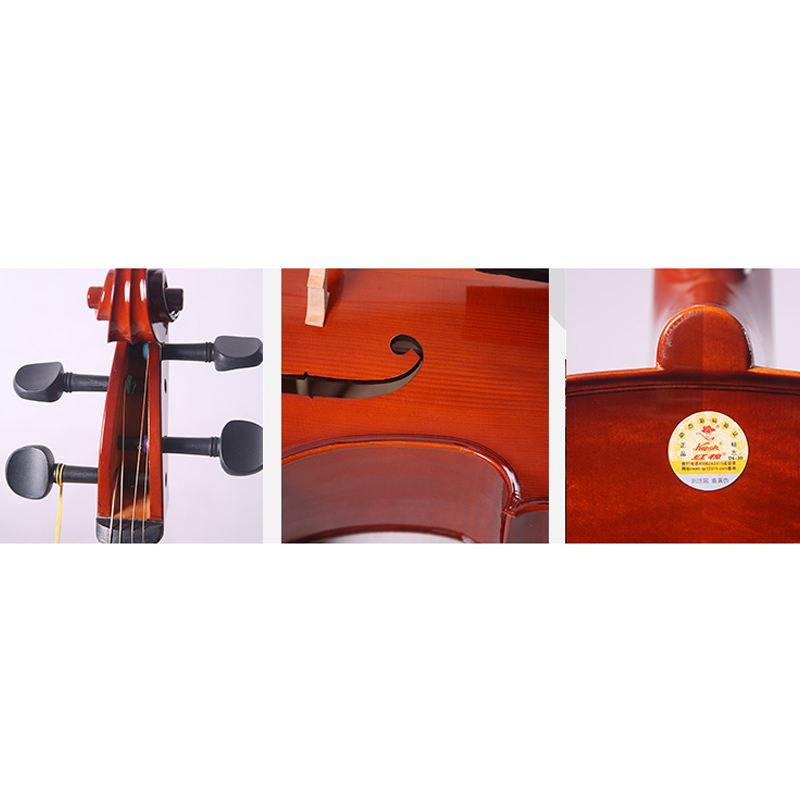 Laminated Top & Back, Ebony Fingerboard, Maple Black-Dyed Pegs Cello (LC010)