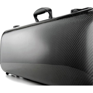 Hydrographics carbon fiber oblong viola case LCVAC43H
