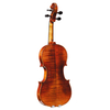 European Tonewood and-craved and Hand Oil Varnish Violin (LV620)