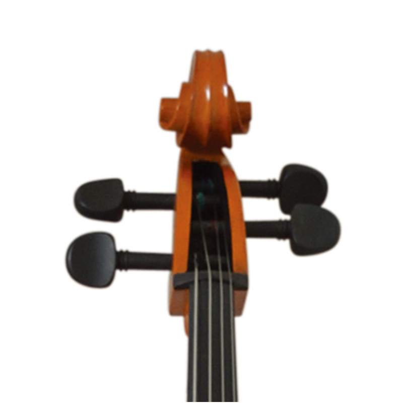 Laminated Top and Back, Ebony Fingerboard, Maple Black-Dyed Pegs Solid Cello (LC012)
