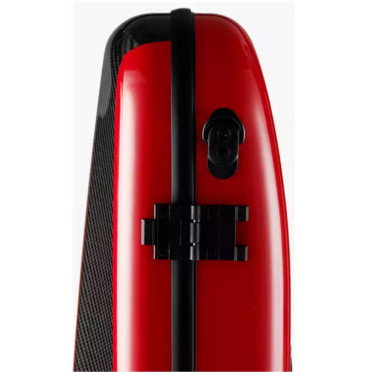 Carbon fiber artist series oblong case LCVC62A