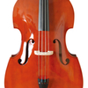 Sprue Solid Top, Maple Flamed Solid Back & Side, Solid Top Double Bass (LB072)