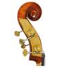 Spruce Solid Top, Maple Flamed Solid Back& Side Back Full Flamed Bass (LB079)