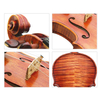 Fully Handmade by Master Chang,Hand Brushed Spirit Finish,Super Sound Violin (LV626)