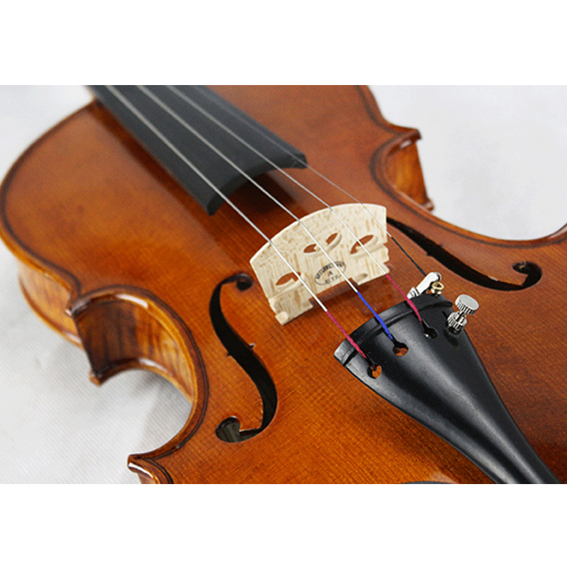Solid Wood Carved Spruce Top, Flamed Maple Back & Sides Antique Gloss Viola (LV016SG)