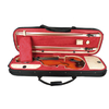 Strongly Light-weight Oblong Violin Case ( LCVW9614 )